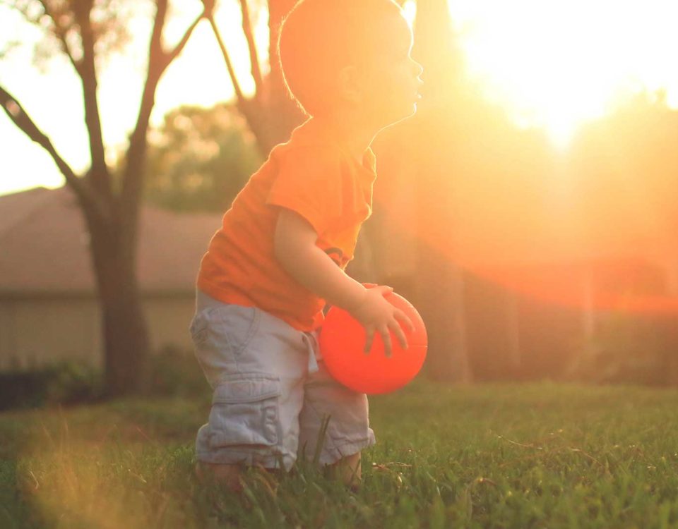 protect your home from subterranean termites